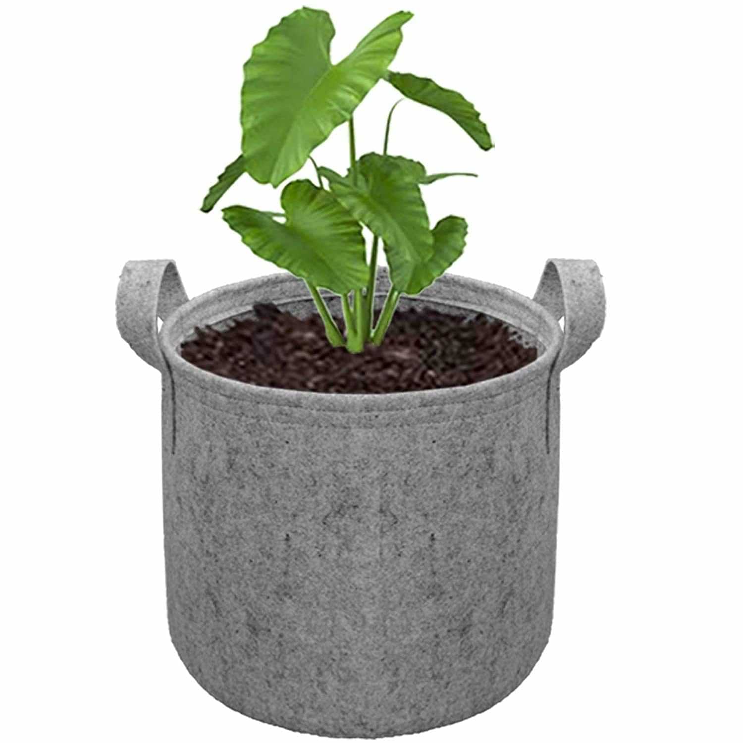 Growing Bag Pots - photo