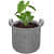 Growing Bag Pots - photo