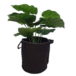 Grow Bags with Strap Handles  8" x 8" Heavy Duty Thickened Nonwoven Fabric Pots Set of 2 - front_view