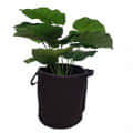 Grow Bags with Strap Handles  8" x 8" Heavy Duty Thickened Nonwoven Fabric Pots Set of 2 - front_view