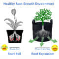 Grow Bags with Strap Handles  8" x 8" Heavy Duty Thickened Nonwoven Fabric Pots Set of 2 - left_view