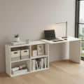 Maggen Engineered Wood Rotatable Study Table With Bookcase (White) - front_view