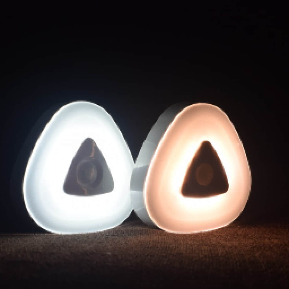 Premium Battery Operated Wireless Portable Motion Sensor LED Light - photo