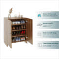 Camron Engineered Wood Shoe Storage Organizer with 4 Shelves (Teak) - top_view