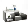 Acura Modern Engineered Wood Center Table with Open Storage Shelves (Wenge & White) - left_view