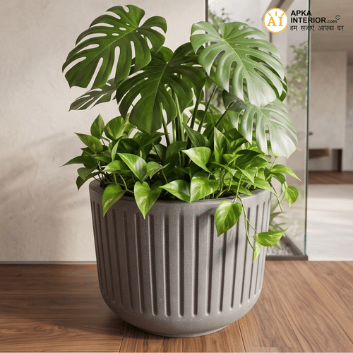Cosmic Pot Planter (12x12x11) Inch