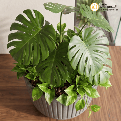 Cosmic Pot Planter (12x12x11) Inch