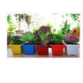 Plastic Plastic Rectangular Flower pots (Set of 3) - rear_view
