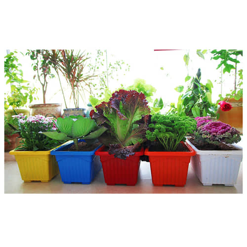 Plastic Rectangular Flower pots (Set of 4)