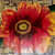 Brassica Floral Painting - top_view