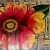 Brassica Floral Painting - right_view