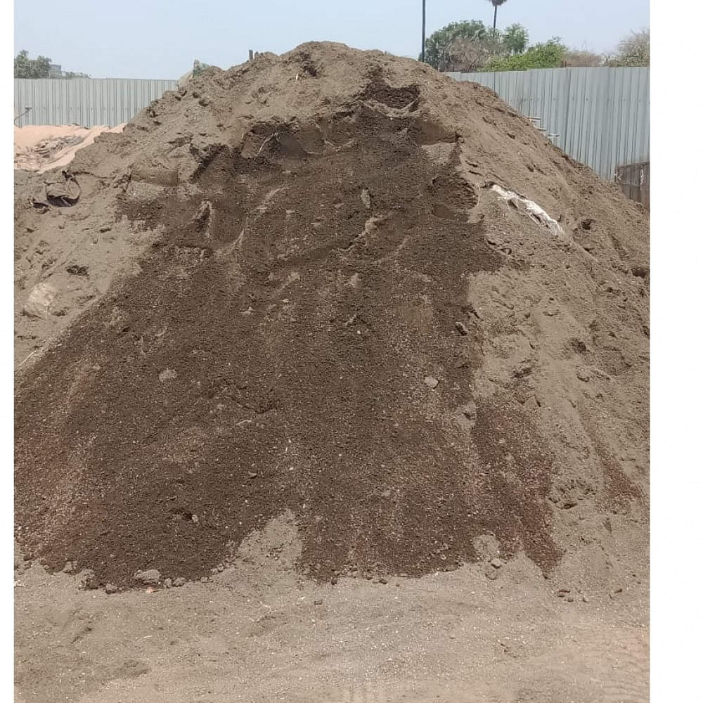 Gujarat Sand - photo