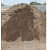 Gujarat Sand - photo