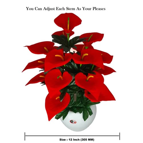 Anthurium flower  bunch