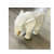 Geometric White Elephant Artefact - top_view
