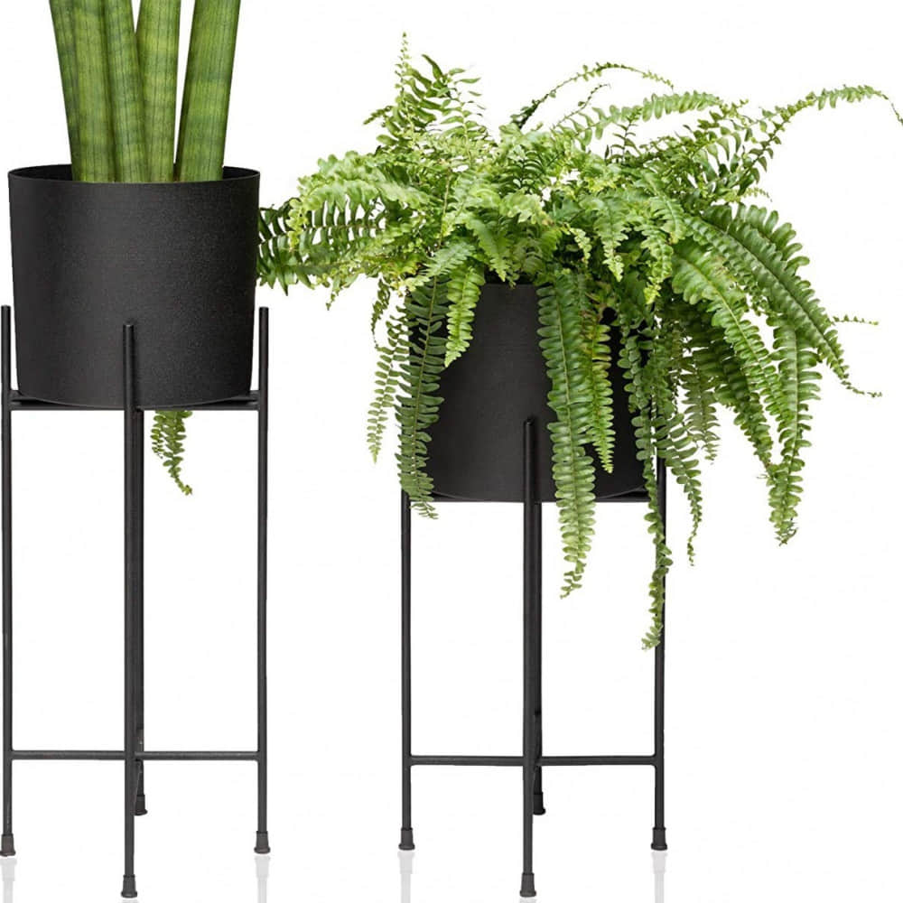 Black Planters Set of 2 - photo