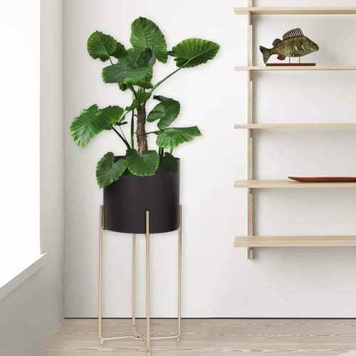 Black Planters Set of 2