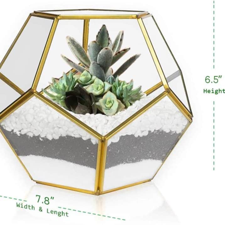 Gold Glass Geometric Terrarium PentagonPlanter - left_view