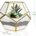 Gold Glass Geometric Terrarium PentagonPlanter - left_view