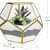 Gold Glass Geometric Terrarium PentagonPlanter - left_view