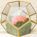 Gold Glass Geometric Terrarium PentagonPlanter - right_view
