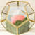 Gold Glass Geometric Terrarium PentagonPlanter - right_view