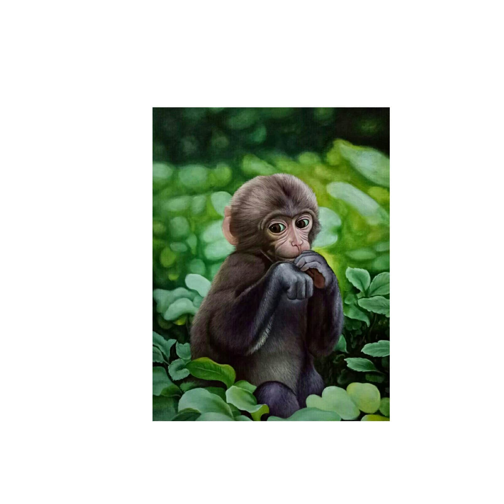 Baby Monkey  Wall Arts IMAGE - front_view