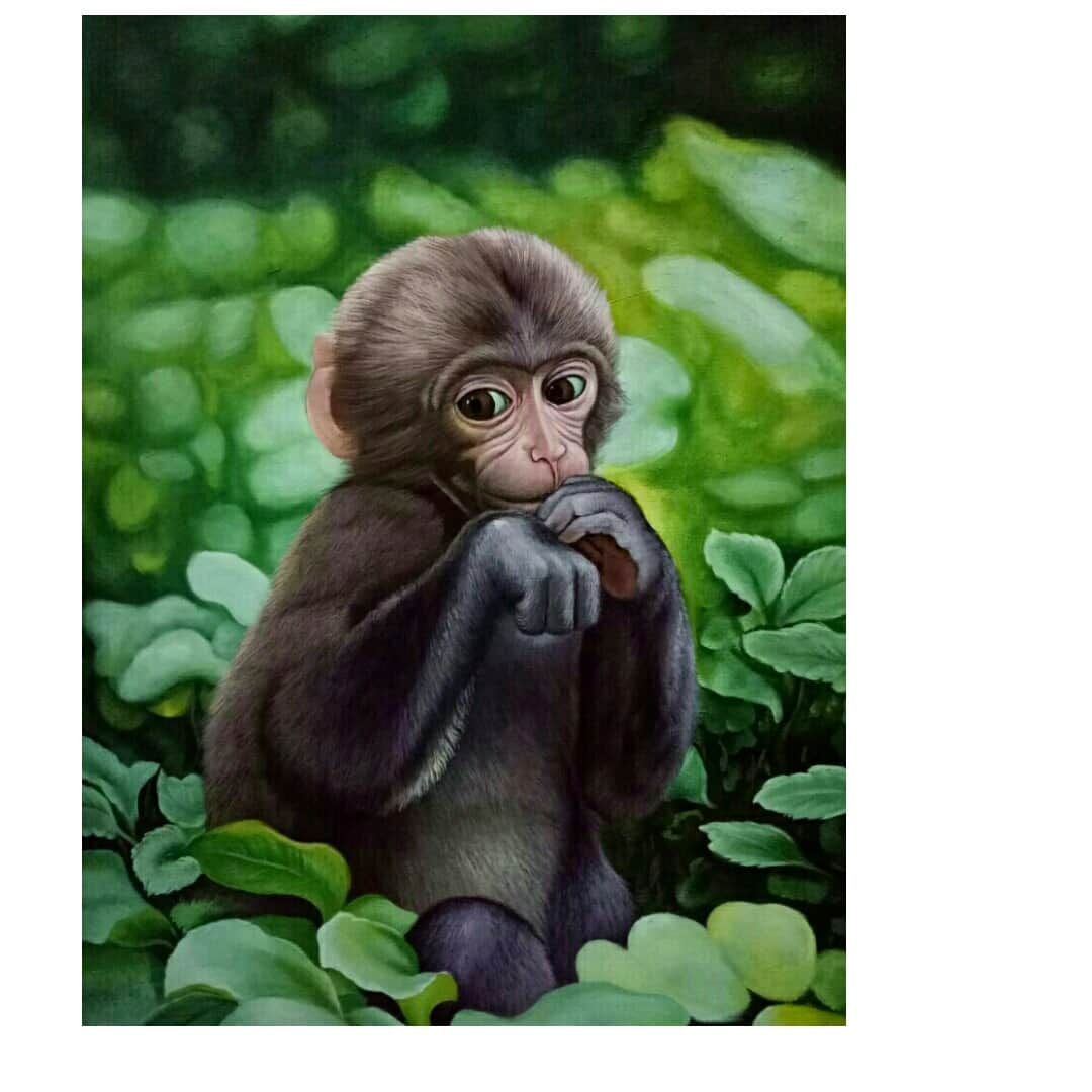 Baby Monkey  Wall Arts IMAGE - top_view