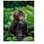 Baby Monkey  Wall Arts IMAGE - top_view