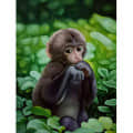 Baby Monkey  Wall Arts IMAGE - left_view