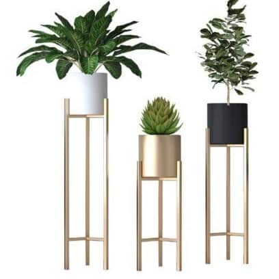 Home Decor - front_view