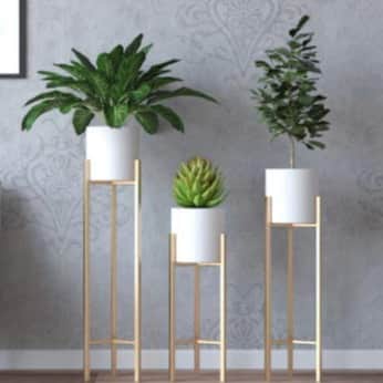 Home Decor - rear_view