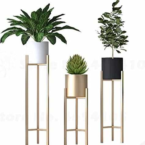 Home Decor - photo