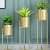 I Kirby Iron Planter (Set of 3) - left_view