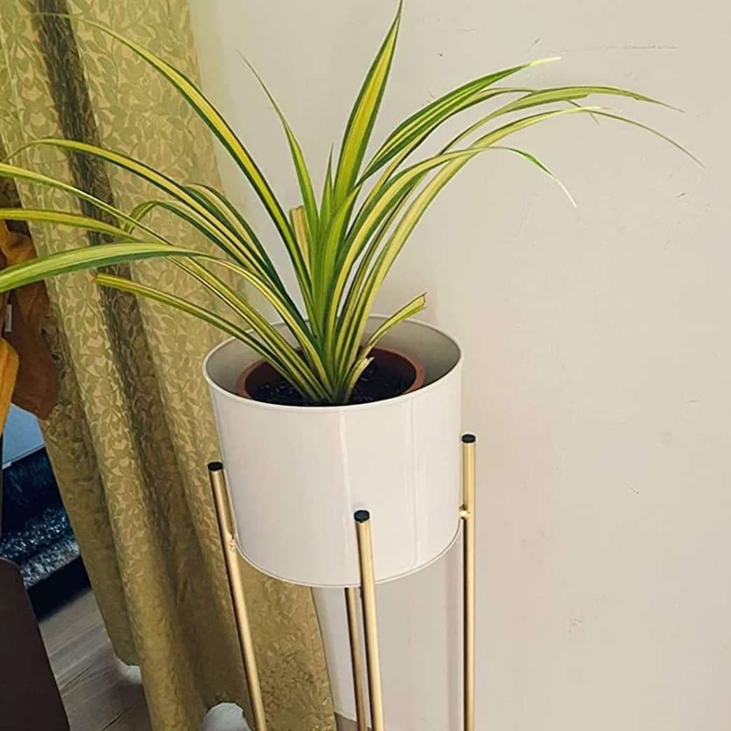 Leonardo Home Décor Planter - front_view