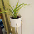 Leonardo Home Décor Planter - front_view