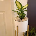 Leonardo Home Décor Planter - rear_view