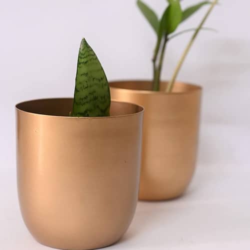 Home Decor  Planter