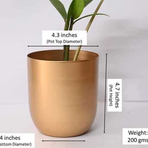 Home Decor  Planter