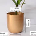 Home Decor  Planter - front_view