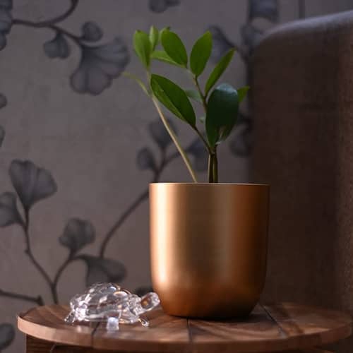 Home Decor  Planter