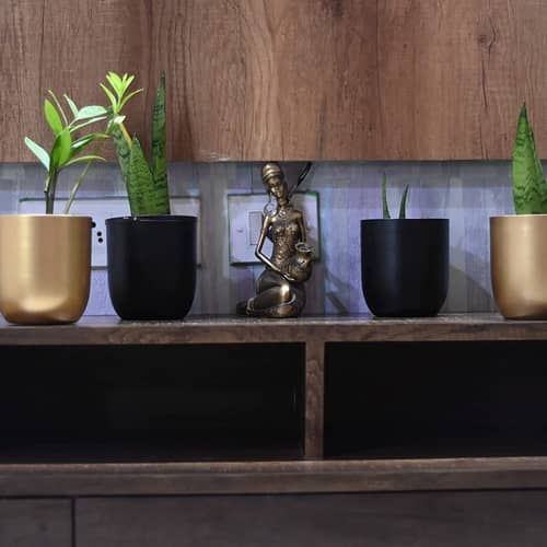 Home Decor  Planter