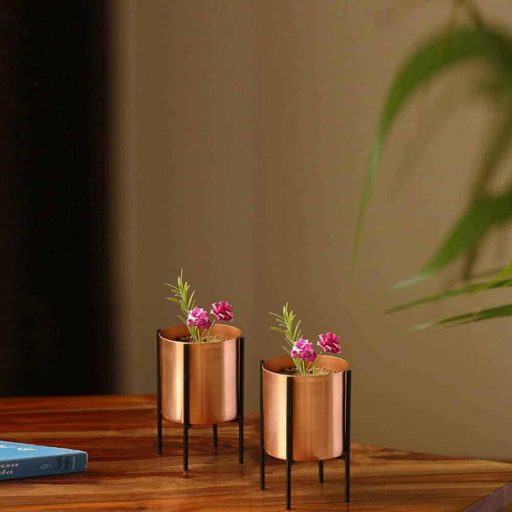 Copper pote for Plants. - photo
