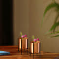 Copper pote for Plants. - photo
