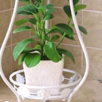 Home Decor Metal Tall Plant Stand, White, 11.4 x 9.6 x 24.4 inches, 1 Piece - top_view