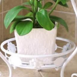 Home Decor Metal Tall Plant Stand, White, 11.4 x 9.6 x 24.4 inches, 1 Piece - left_view