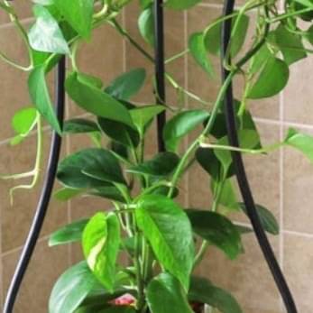 Home Decor Metal Tall Plant Stand, White, 11.4 x 9.6 x 24.4 inches, 1 Piece