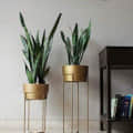Home Decor Golden Centuria Metal Plant Pot Set | Indoor Round Planter with Metal Stand (Set of 2) - front_view