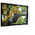 The Royal LEOPARD Sitting in a Tree painting - front_view