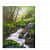 Beauty Of Nature painting - rear_view
